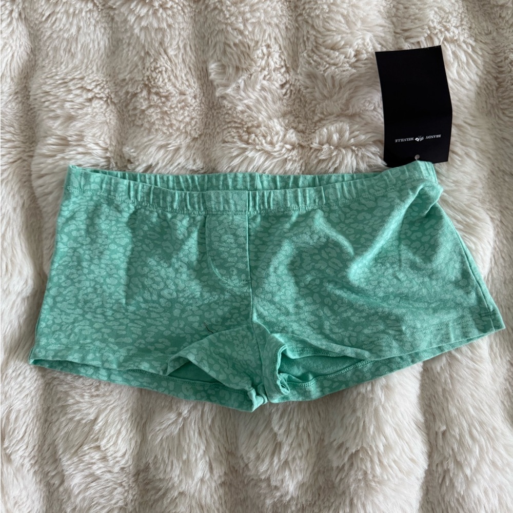 Brandy Melville teal shorts